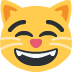 :smile_cat: